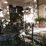 Perenna Cafe Extérieur