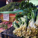 Rare Garden Exterior