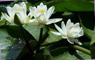 Inside Bistro Cafe Bebida