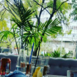 Mon Cher Caffe Decebal Boisson