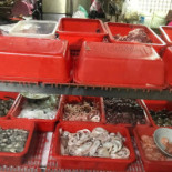 Sushi Garden Nourriture