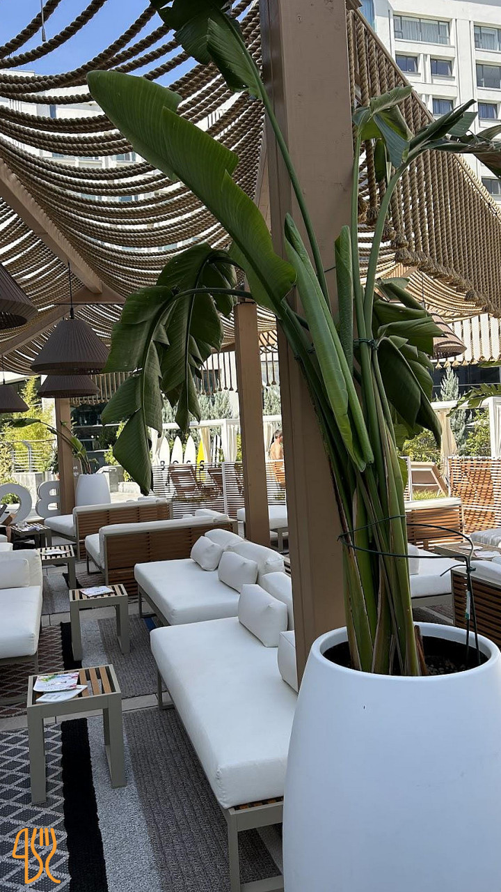 Ginger Sushi Lounge Exterior