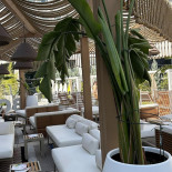 Ginger Sushi Lounge Exterior