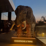 Élephante Bucharest Bebida