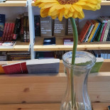 Seneca Anticafe Boisson