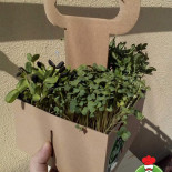 Chef's Microplants Băutură