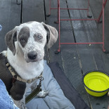 Mezzaluna Restaurant Boisson