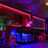 Chicken Staff À l'intérieur