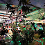 Gatto Cafe & Lounge Boisson