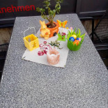 Sara Popa Petre Carte