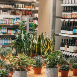 Ototo Store Amzei În interior
