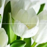 Casa Maramureseana Boisson