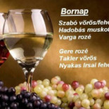 Paine Cu Maia Loaf Băutură
