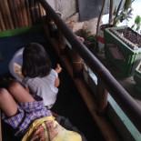 La Micu' Vesel Boisson