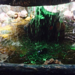 Jadoo Restaurant Extérieur