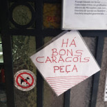 Hedonist Meniu
