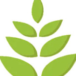 Lizeanu Bistro Logo