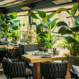 Élephante Bucharest