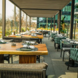 Élephante Bucharest