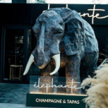 Élephante Bucharest Bebida