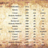 Old Wines Uk Meniu