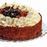 Zoomserie Afi Cotroceni Essen