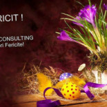 Consultanta Băutură