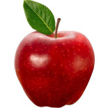 Frutipedia Băutură
