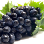 Frutipedia Băutură