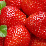 Frutipedia Băutură