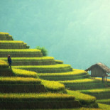 Little Vietnam Bucharest Extérieur