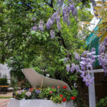 Rare Garden Exterior