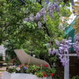 Rare Garden Exterior