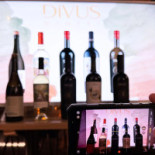 Ascent Wine Bistro Băutură