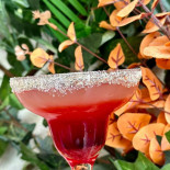 Aya Garden Sector 4 Bebida