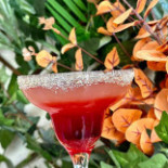 Aya Garden Sector 4 Boisson