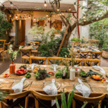Bacania Veche Romana Delicatese Gradina În interior