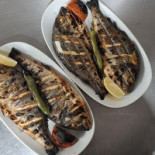 Turkish Golden Kebab Comida