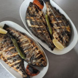 Turkish Golden Kebab Comida