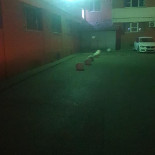Klatite P5 Băutură