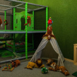Zgubilici Playground Băutură