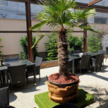 Business Land Exterior