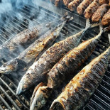 Mici Obor Cei Mai Buni Mici Mari La Terasa Platou Băutură