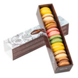 Zoomserie Delfinului Carte