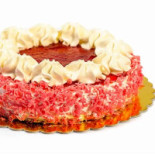 Zoomserie Delfinului Nourriture