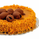 Zoomserie Delfinului Nourriture