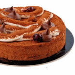 Zoomserie Delfinului Nourriture