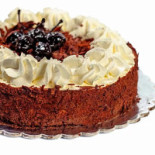 Zoomserie Delfinului Nourriture