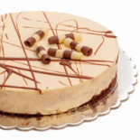 Zoomserie Delfinului Nourriture