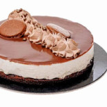 Zoomserie Delfinului Nourriture